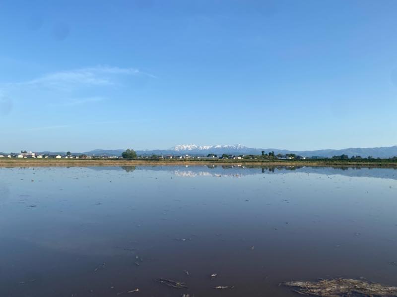 f:id:u_rotas:20210521074910j:plain