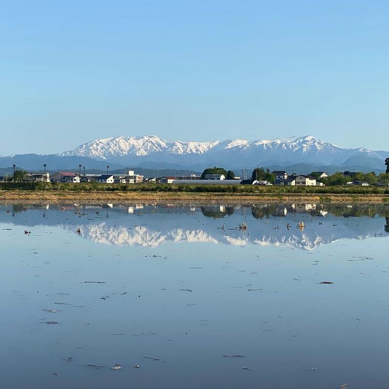 f:id:u_rotas:20210521074916j:plain