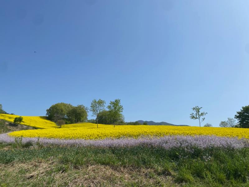 f:id:u_rotas:20210521074953j:plain