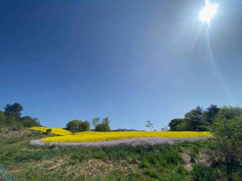 f:id:u_rotas:20210521074956j:plain