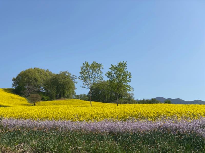 f:id:u_rotas:20210521074958j:plain