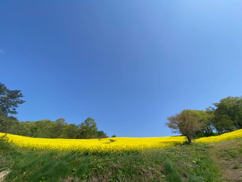 f:id:u_rotas:20210521075005j:plain