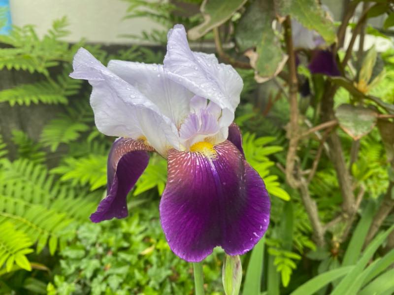 f:id:u_rotas:20210521075156j:plain