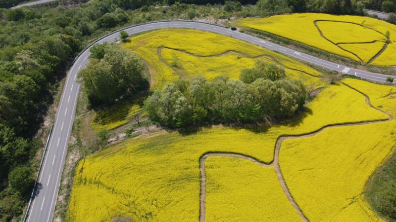 f:id:u_rotas:20210521184936j:plain