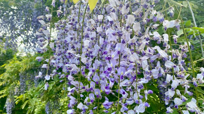 f:id:u_rotas:20210604071935j:plain