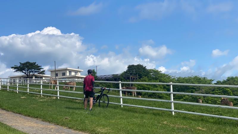 f:id:u_rotas:20210604072003j:plain