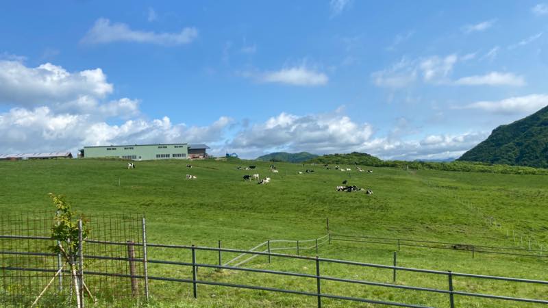 f:id:u_rotas:20210604072007j:plain