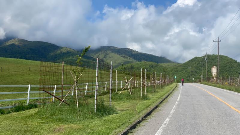 f:id:u_rotas:20210604072010j:plain