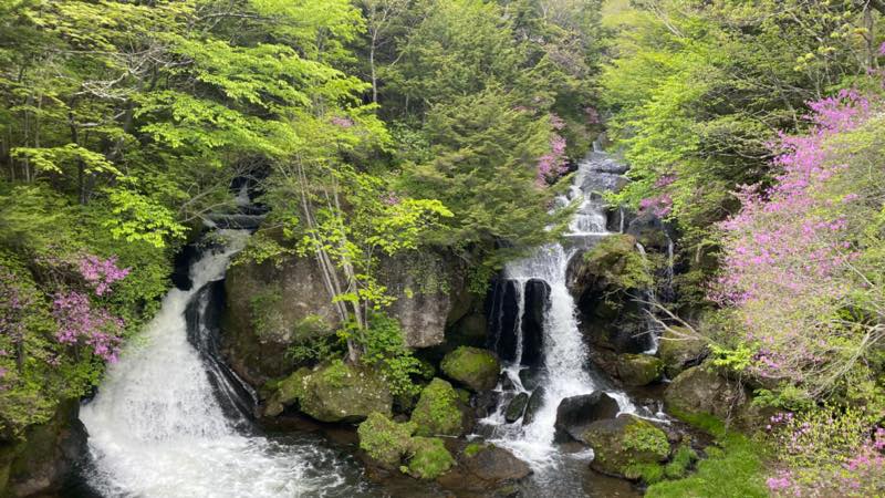 f:id:u_rotas:20210604072224j:plain