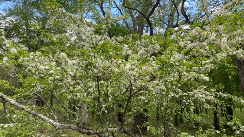 f:id:u_rotas:20210604072306j:plain