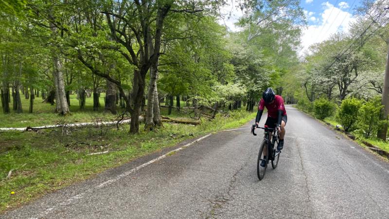 f:id:u_rotas:20210604072308j:plain