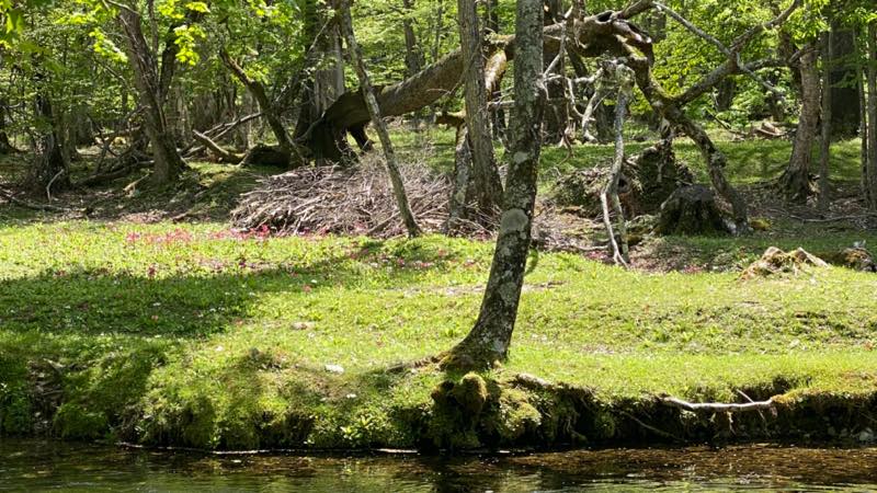 f:id:u_rotas:20210604072325j:plain