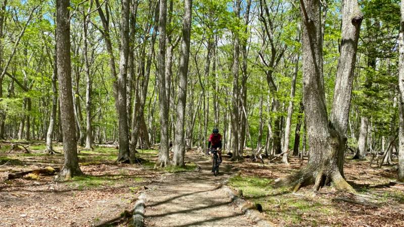 f:id:u_rotas:20210604072350j:plain