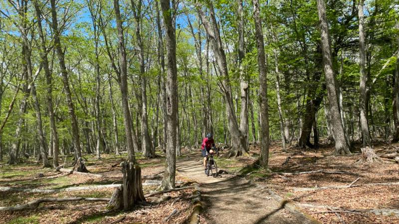 f:id:u_rotas:20210604072352j:plain