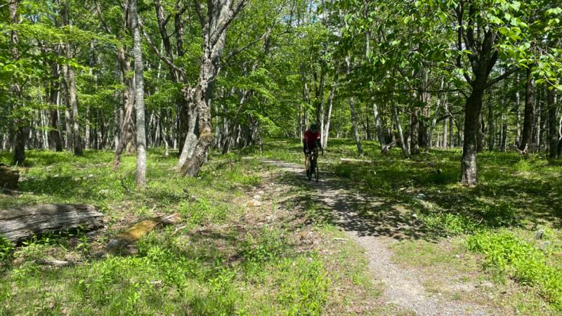 f:id:u_rotas:20210604072355j:plain