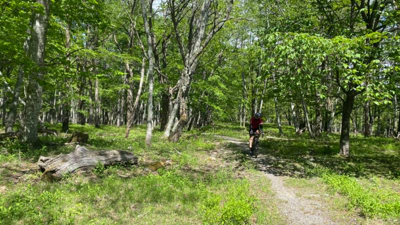 f:id:u_rotas:20210604072359j:plain