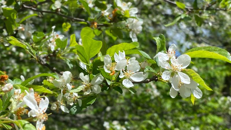 f:id:u_rotas:20210604072413j:plain