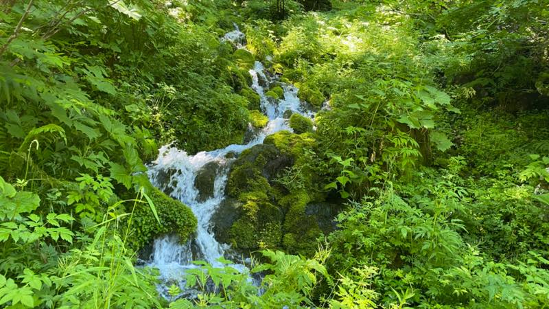 f:id:u_rotas:20210720072844j:plain