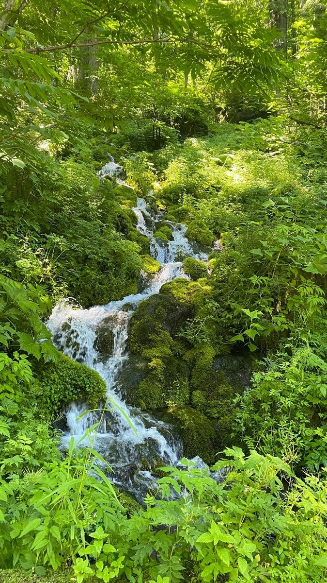 f:id:u_rotas:20210720072854j:plain