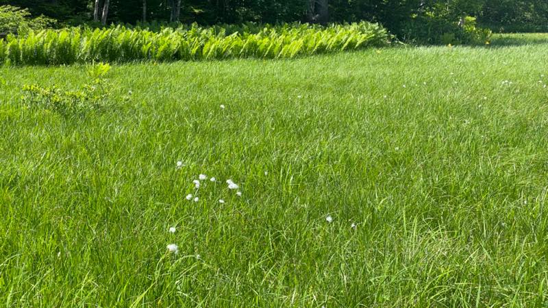 f:id:u_rotas:20210720073122j:plain