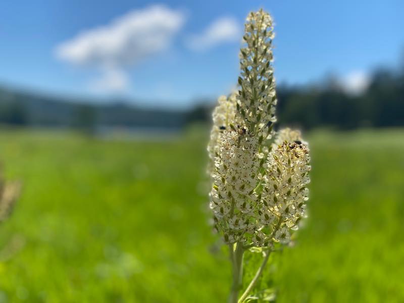 f:id:u_rotas:20210720073137j:plain