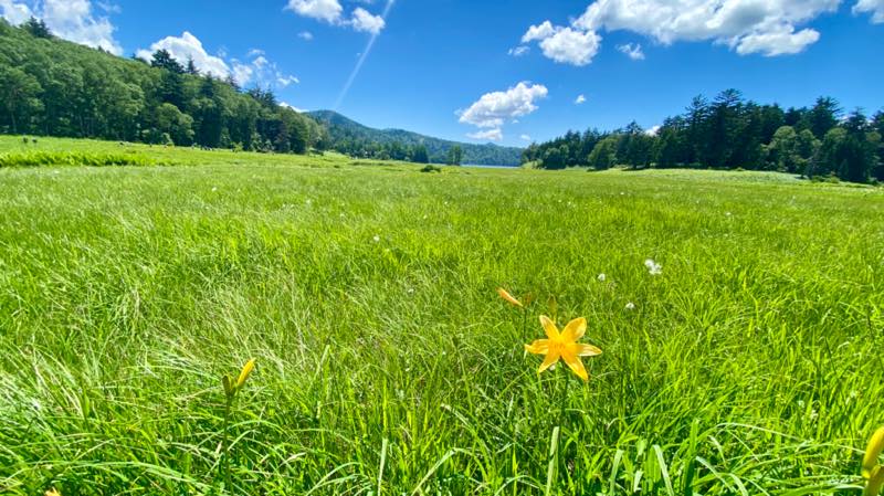 f:id:u_rotas:20210720073140j:plain