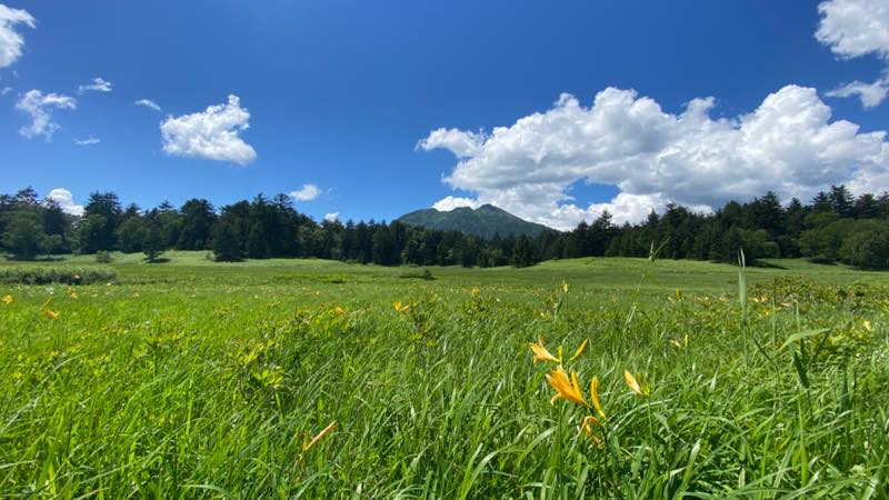 f:id:u_rotas:20210720073228j:plain