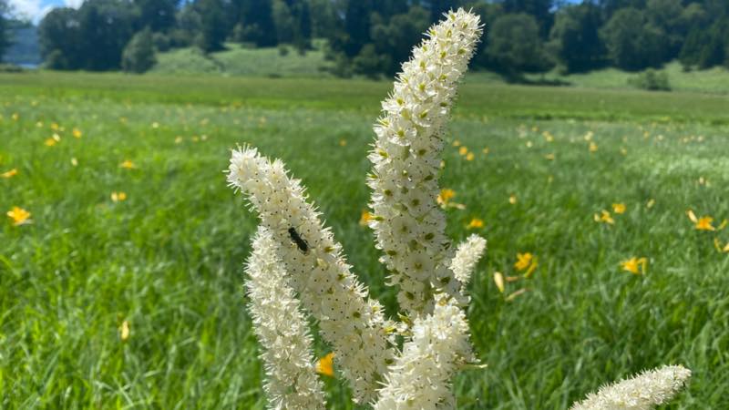 f:id:u_rotas:20210720073237j:plain