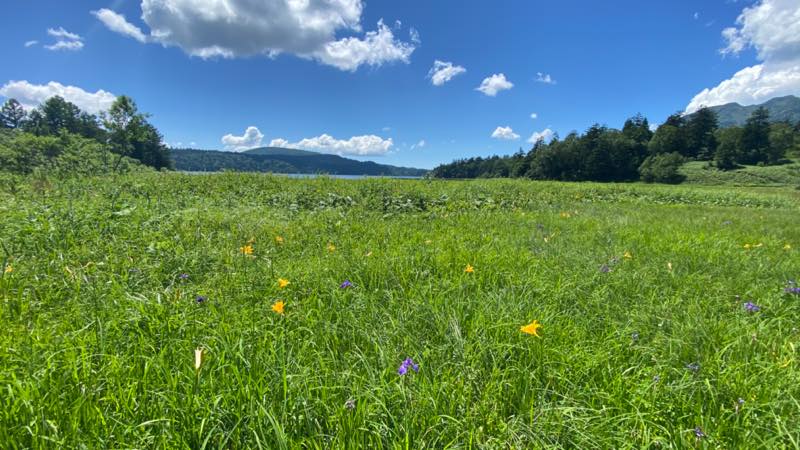 f:id:u_rotas:20210720073240j:plain