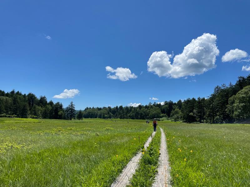 f:id:u_rotas:20210721174557j:plain