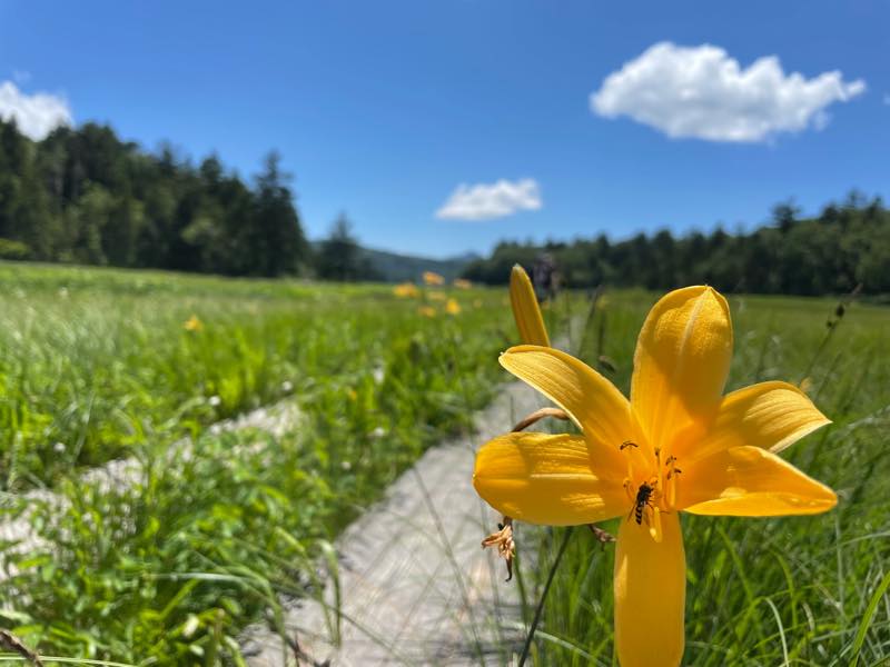 f:id:u_rotas:20210721174614j:plain