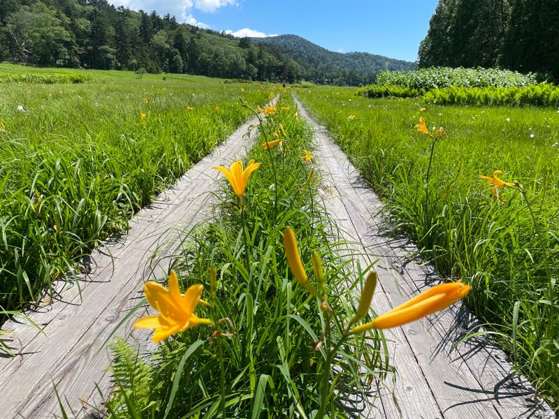 f:id:u_rotas:20210721174617j:plain