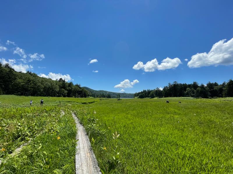 f:id:u_rotas:20210721174627j:plain