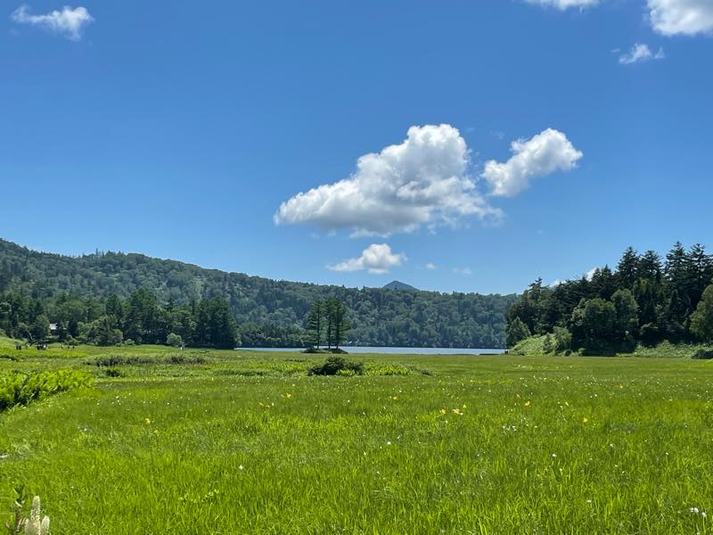 f:id:u_rotas:20210721174630j:plain