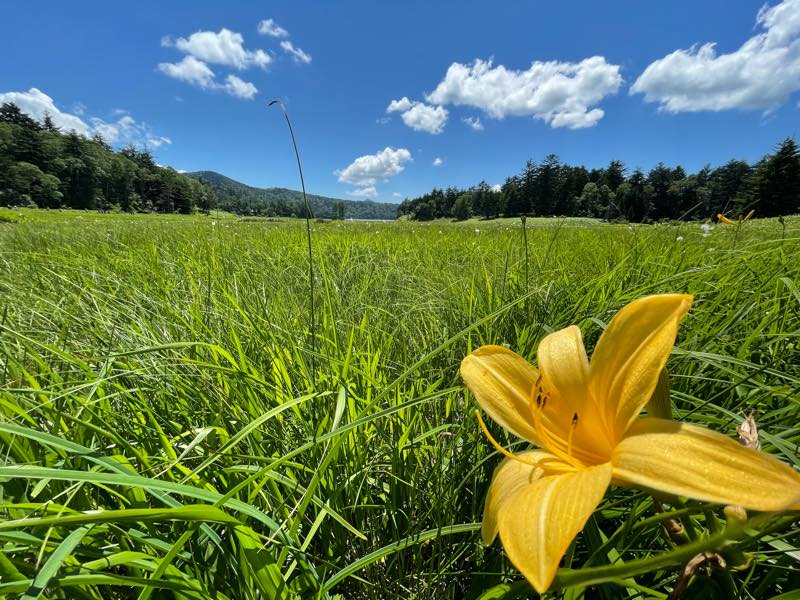 f:id:u_rotas:20210721174637j:plain