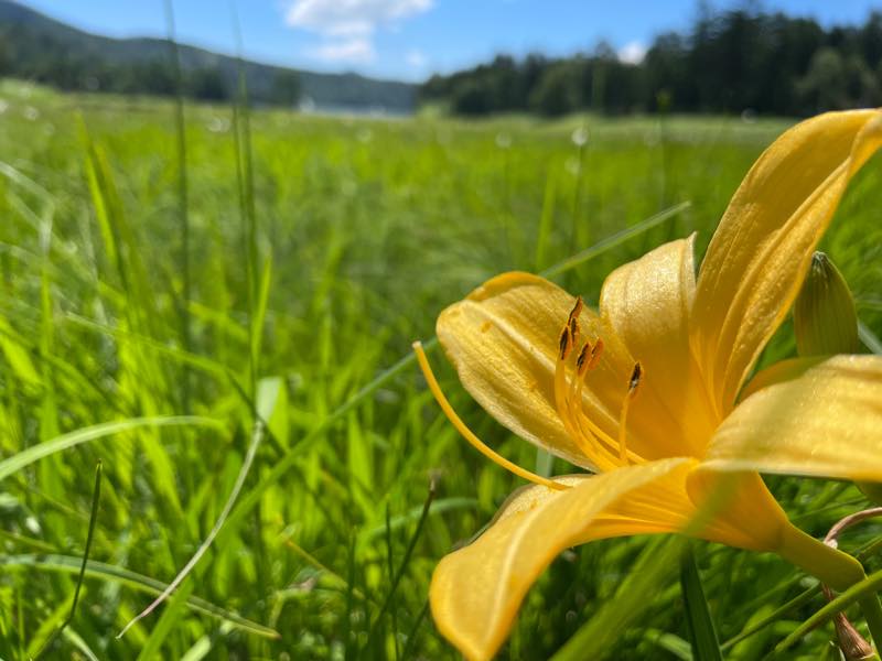 f:id:u_rotas:20210721174640j:plain