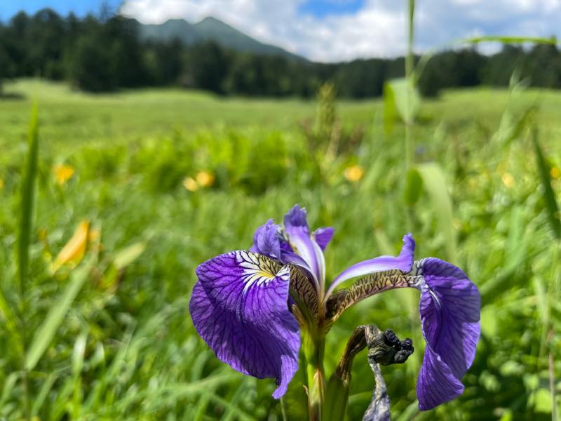 f:id:u_rotas:20210721174747j:plain