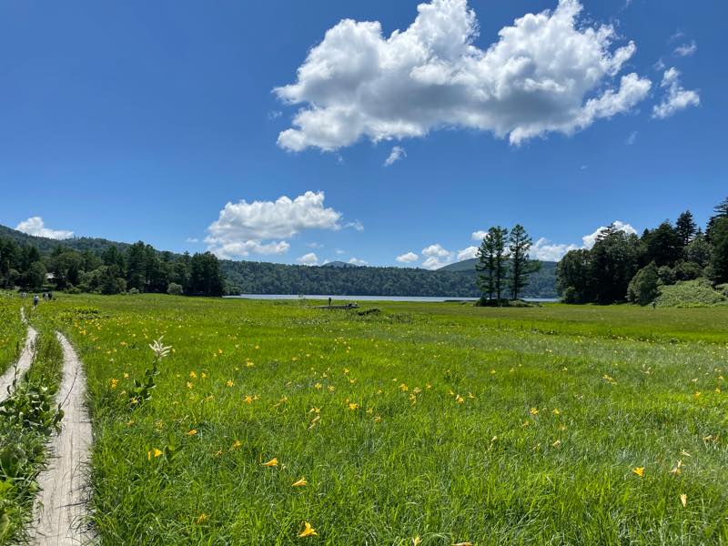 f:id:u_rotas:20210721174753j:plain