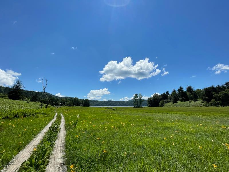 f:id:u_rotas:20210721174757j:plain