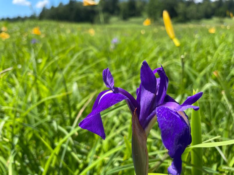 f:id:u_rotas:20210721174800j:plain