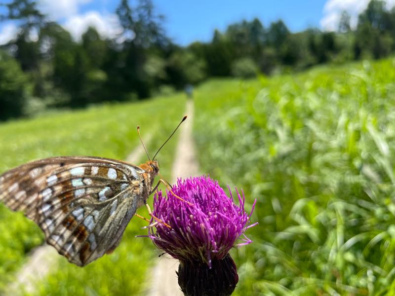 f:id:u_rotas:20210721174803j:plain