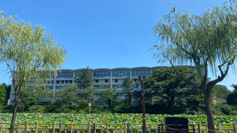 f:id:u_rotas:20210725114528j:plain