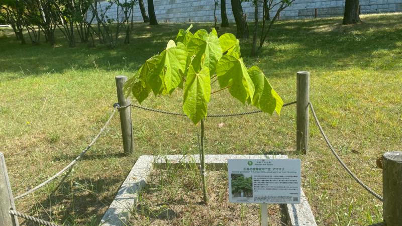 f:id:u_rotas:20210725114726j:plain