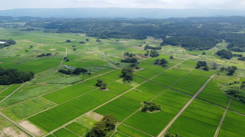 f:id:u_rotas:20210805083249j:plain