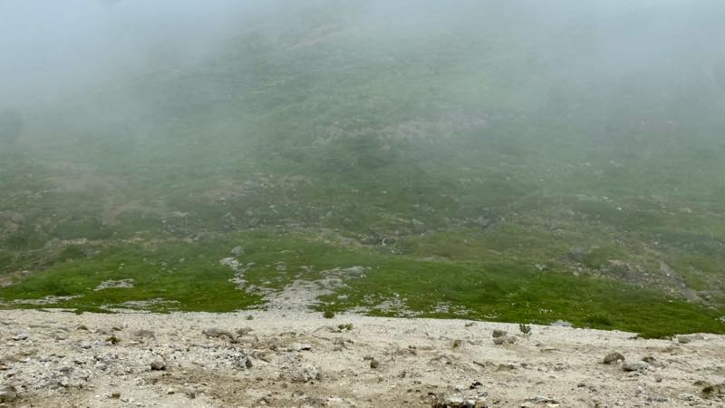 f:id:u_rotas:20210815141141j:plain