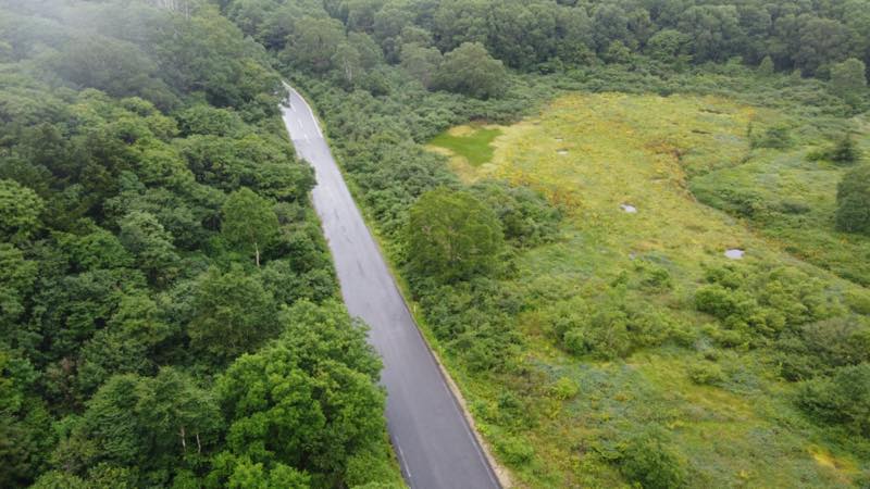 f:id:u_rotas:20210815150241j:plain