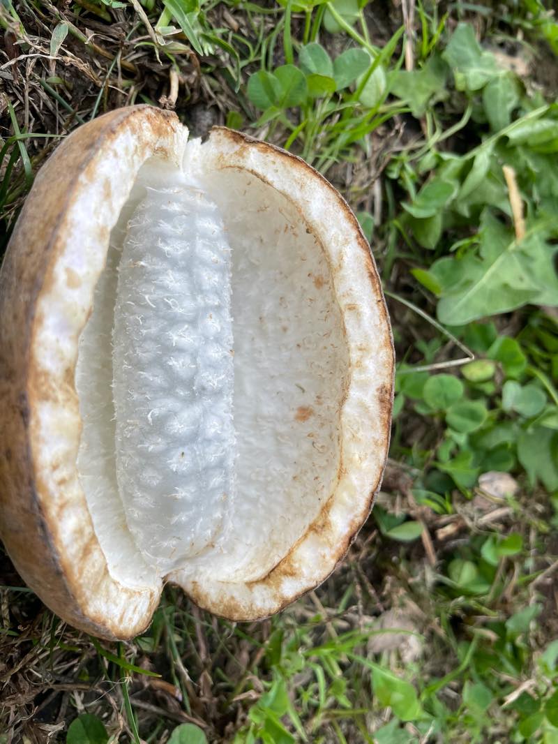 f:id:u_rotas:20211019082256j:plain