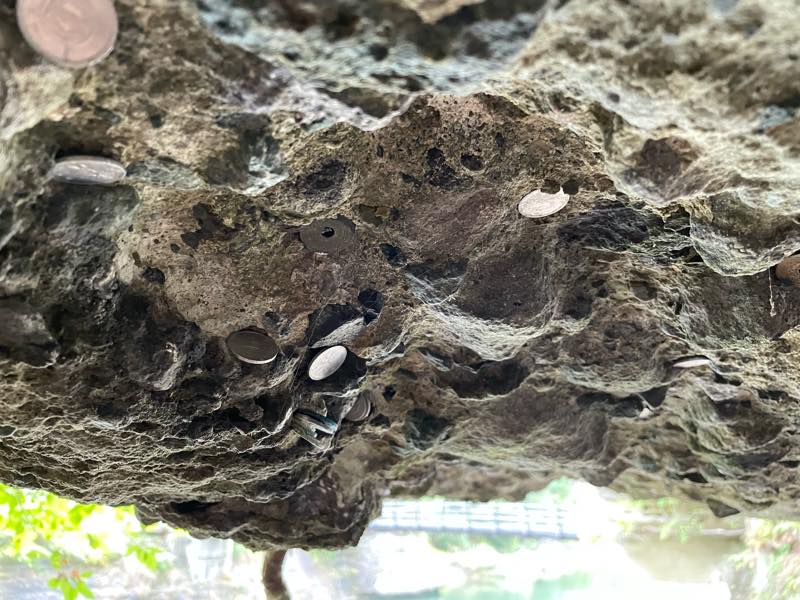 f:id:u_rotas:20211019082325j:plain