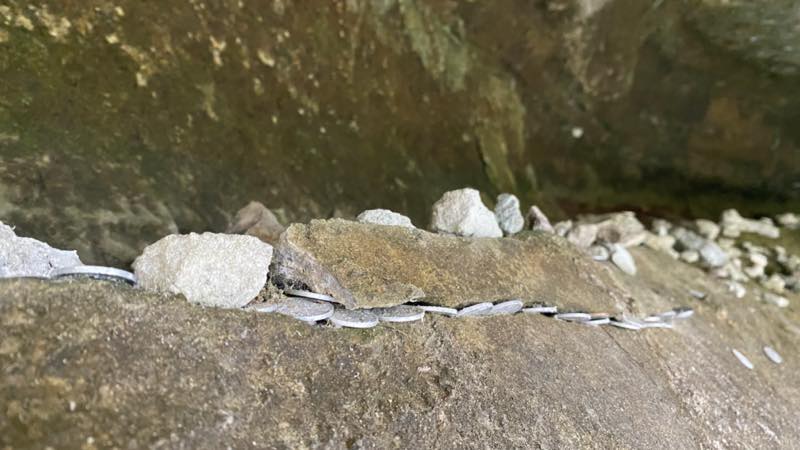 f:id:u_rotas:20211019082551j:plain