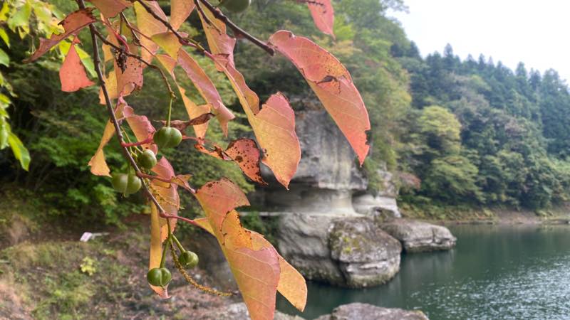 f:id:u_rotas:20211019082556j:plain